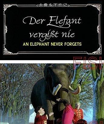  ELEPHANTS NEVER FORGETӰȷ