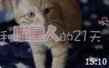 ˵21첥