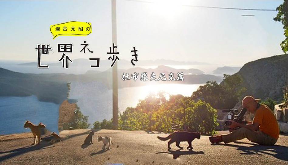 ҺϹѤè~޵ƪ첥