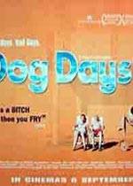 ֮/Dog Days(1970)Ӱȷ