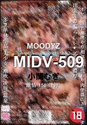 MIDV-509torrent