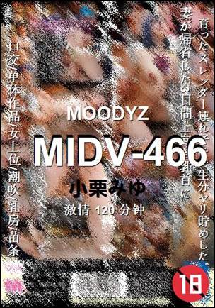 MIDV-466torrent