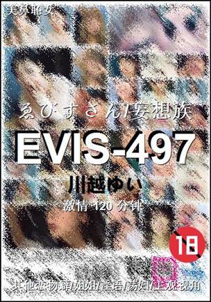 EVIS-497