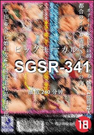 SGSR-341torrent