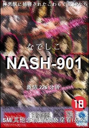 NASH-901torrent