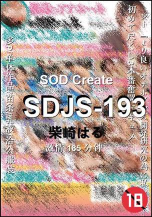 SDJS-193torrent