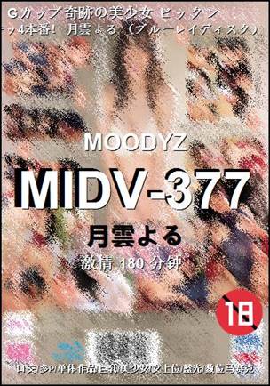 MIDV-377torrent