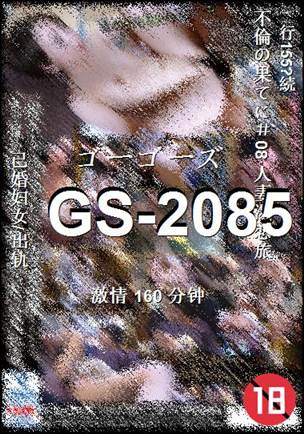 GS-2085torrent