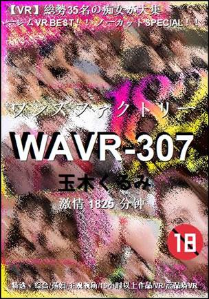 WAVR-307