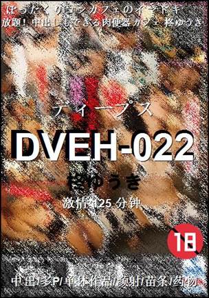 DVEH-022