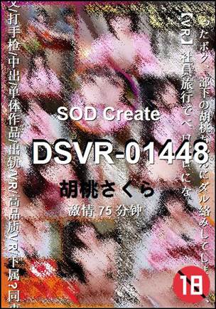 DSVR-01448