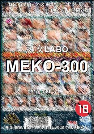 MEKO-300torrent