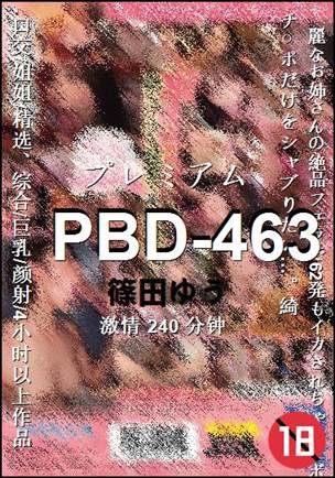 PBD-463