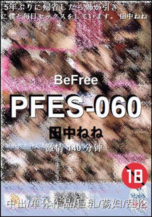 PFES-060