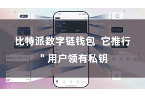 比特派数字链钱包  它推行＂用户领有私钥