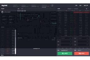 比特派全球版  投入比特币的钱包界面